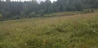Земельный участок, площадью 2196 кв.м., кадастровый номер: 04:03:050301:8, земли населенных пунктов, для индивидуального жилищного строительства, расположенный по адресу: Республика Алтай , Турочакский р-н, Санькин Аил с, Центральная ул, дом 26